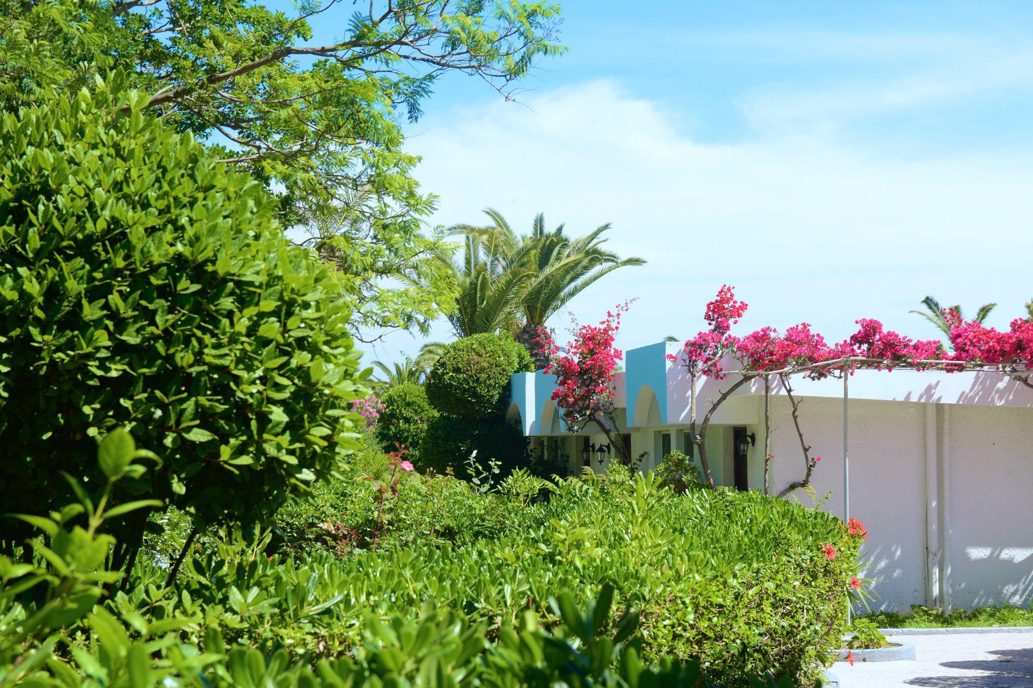 Blue Horizon Hotel Ialysos  Bagian luar foto