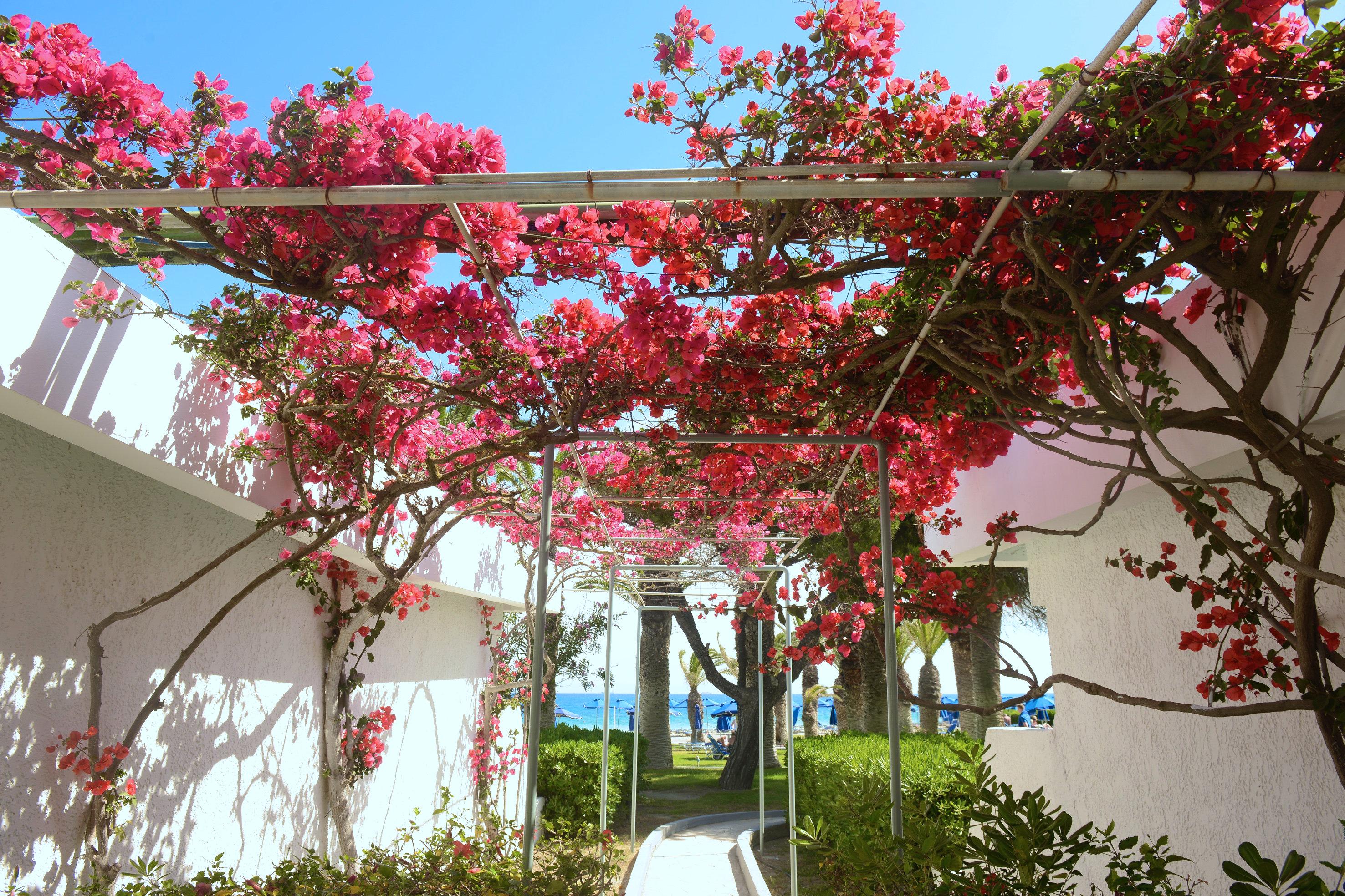 Blue Horizon Hotel Ialysos  Bagian luar foto